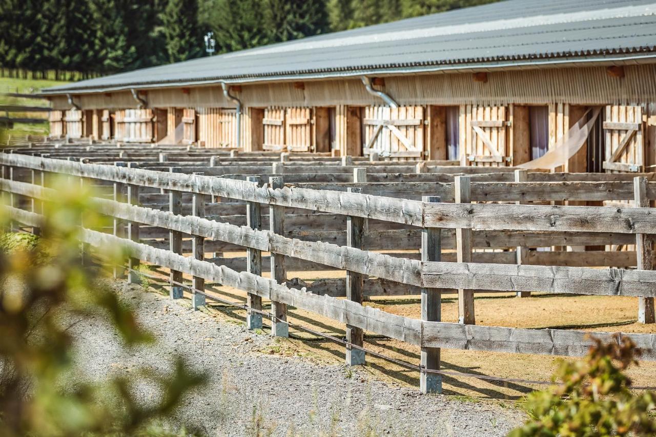 Ranchhouse Bubble - Westernstable - Horse Elterlein Exterior photo