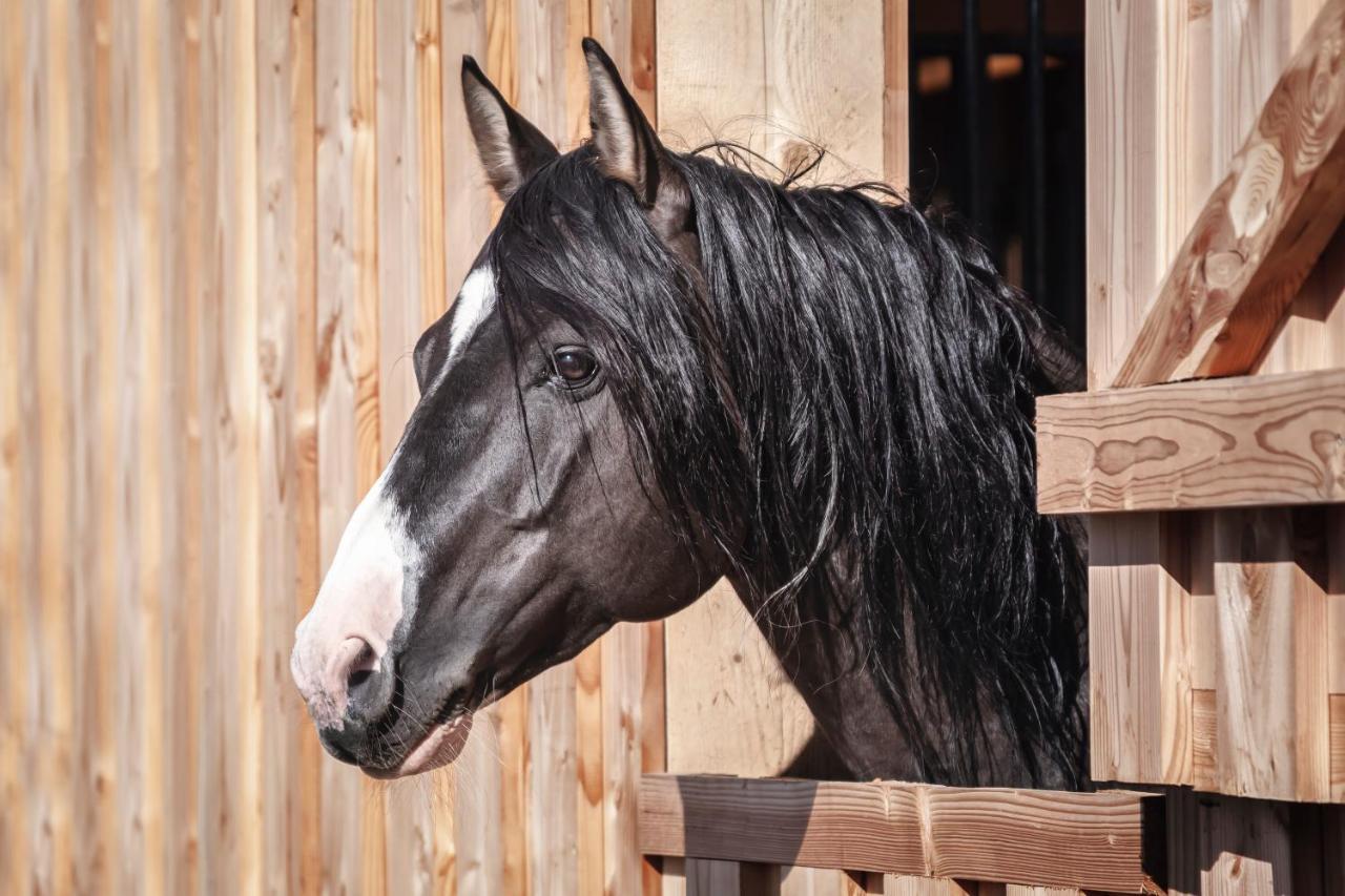 Ranchhouse Bubble - Westernstable - Horse Elterlein Exterior photo
